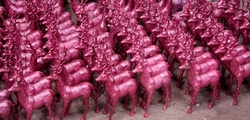 Thomas Pink Deer